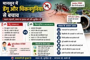 मानसून में डेंगू और चिकनगुनिया से बचाव, लक्षण और मच्छरों से सुरक्षा के उपाय।